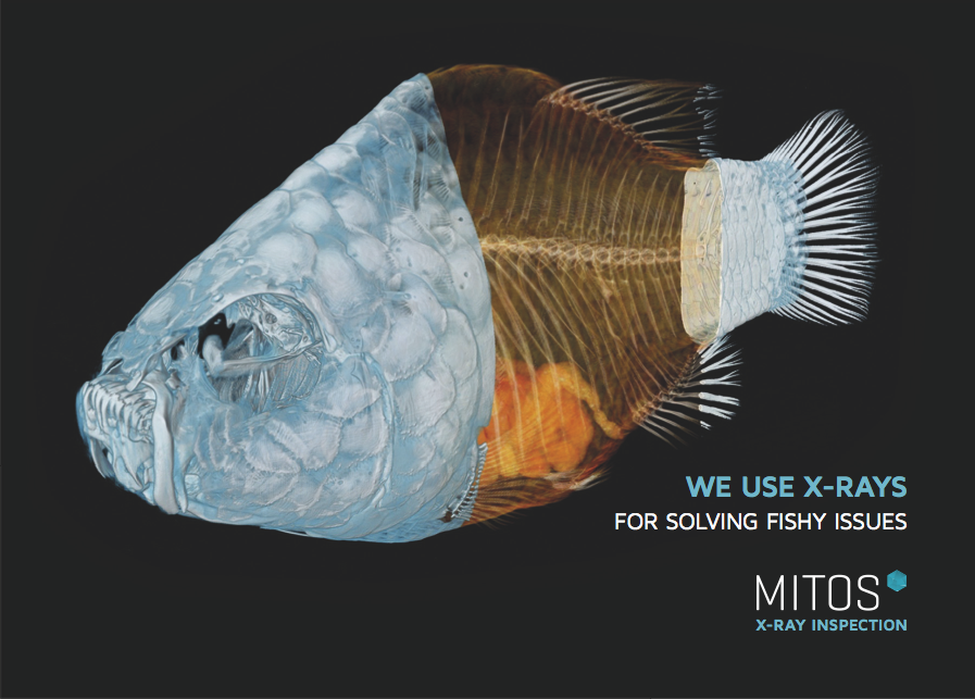 3D Visualisierung eines Fisch mit Roentgen Mikro CT