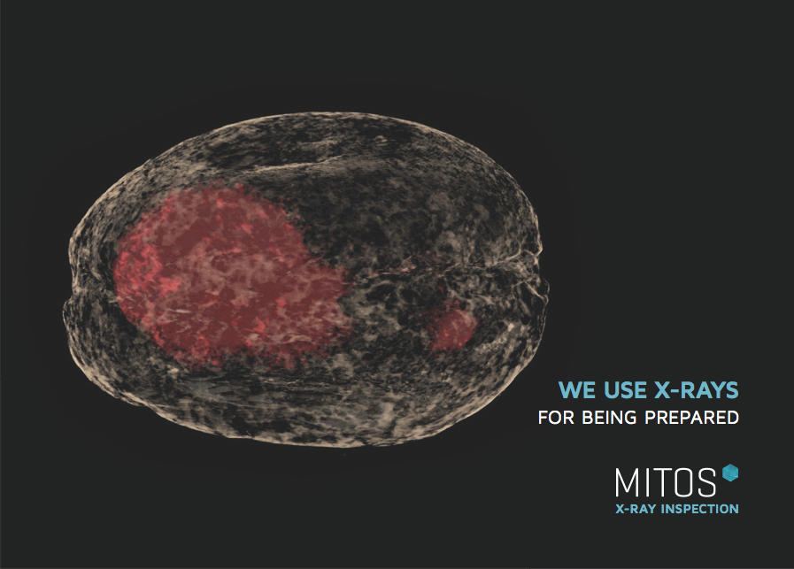 3D Visualisierung von einem bayerischen Krapfen mit Roentgen Mikro CT