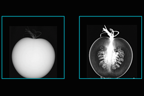 X-ray dark-field radiography enhances contrast in X-ray imaging