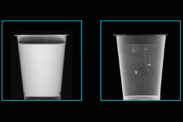 Food inspection and control with X-ray darkfield radiography