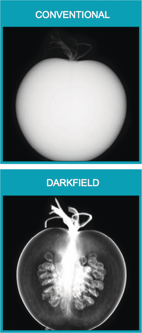 X-ray dark-field radiography imaging results of a tomato